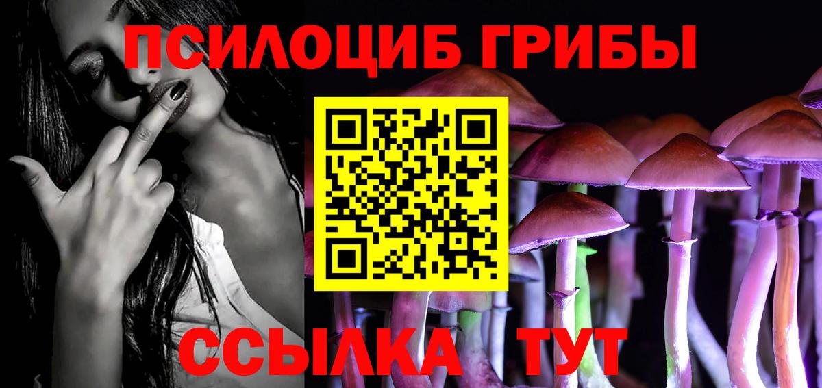 Галлюциногенные грибы GOLDEN TEACHER Фролово