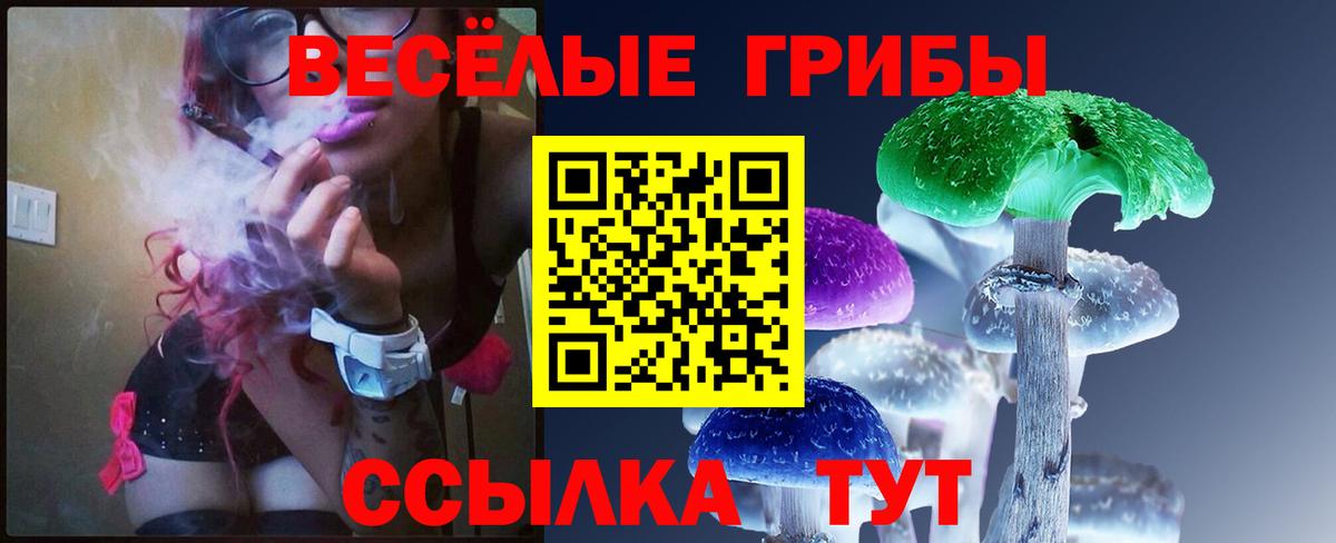 Фролово  Псилоцибиновые грибы GOLDEN TEACHER  даркнет сайт  Галлюциногенные грибы GOLDEN TEACHER  Вход с VPN 